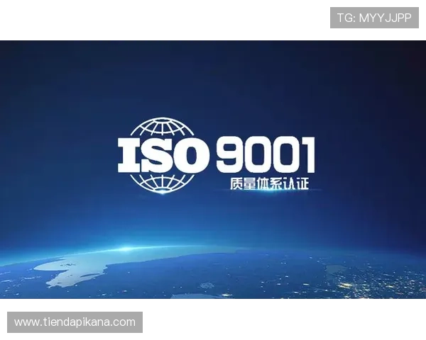 凯发一触即发速度优化指南让你轻松应对高峰期游戏延迟问题