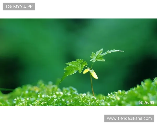 凯时人生就是赌:面对人生的各种诱惑,如何坚持自己的原则与底线 凯时人生就是赌:面对人生的各种诱惑,如何坚持自己的原则与底线