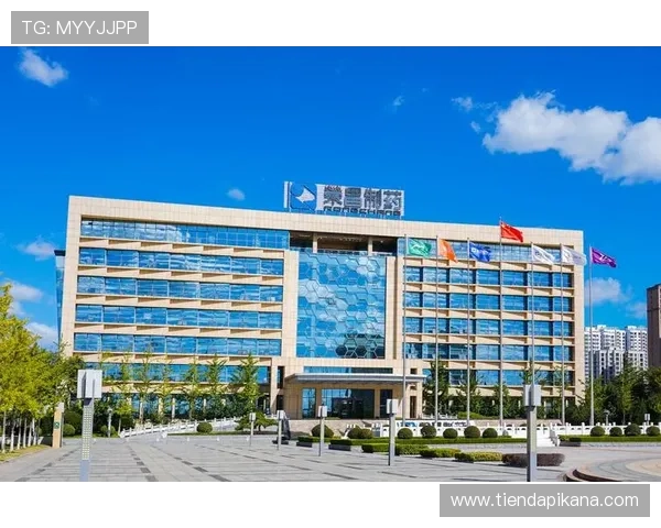 如何利用K8集团网站进行有效的市场推广与客户关系管理策略